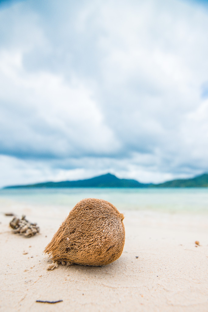 Coconut by kwind