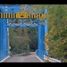 Mossington Bridge by bruni