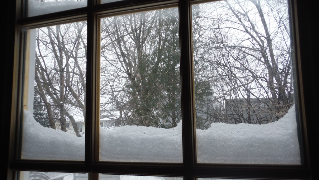 Snow on the Window by spanishliz