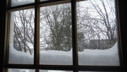 20th Jan 2019 - Snow on the Window