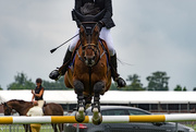20th Jan 2019 - Show Jumping