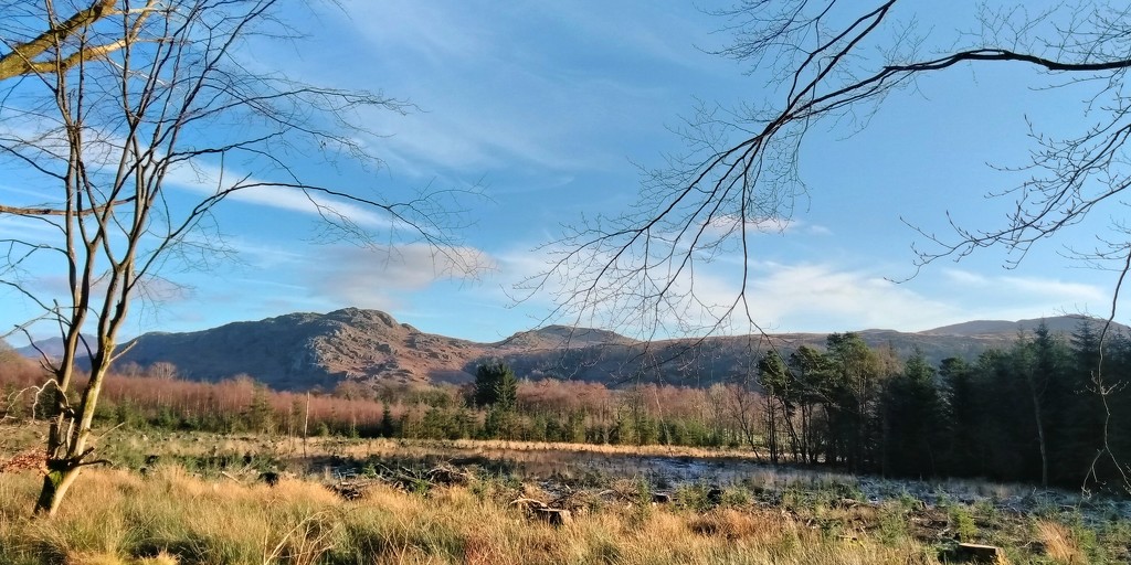 Muncaster Fell  by countrylassie