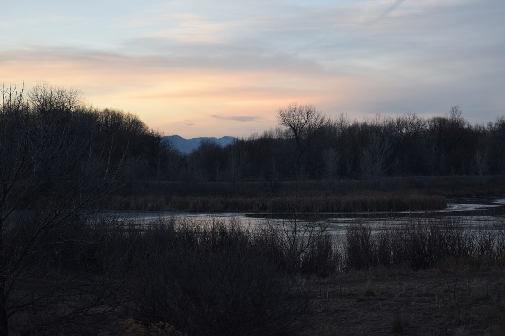 Riverbend Pond sunset by sandlily