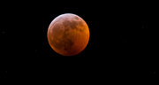 21st Jan 2019 - Super Blood Wolf Moon Lunar Eclipse!