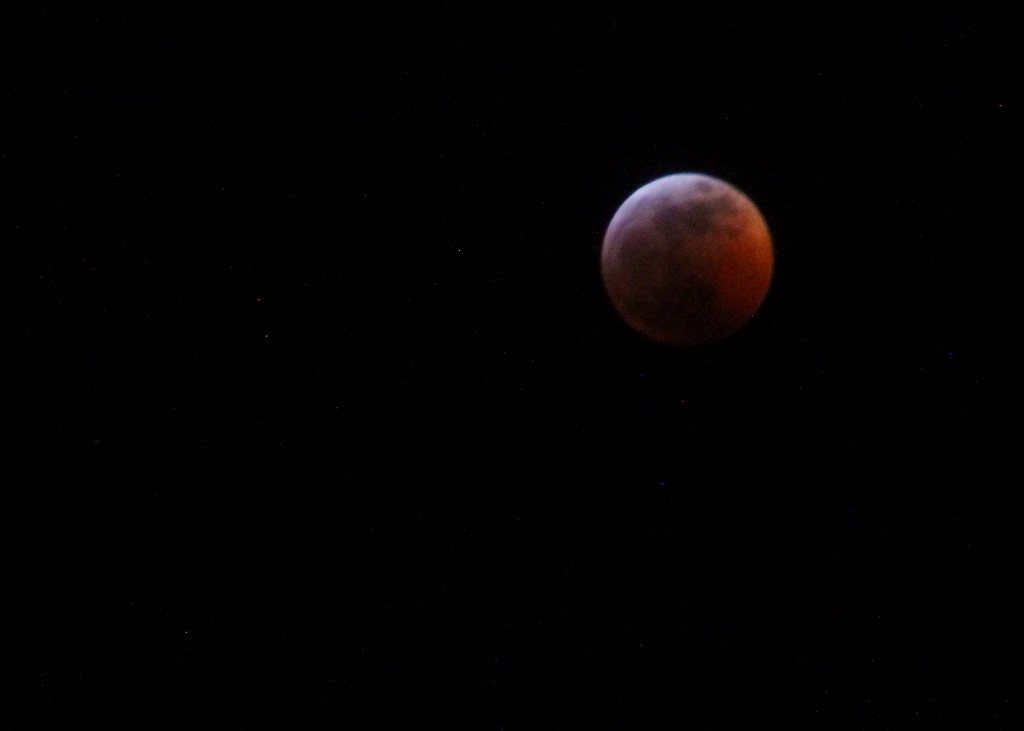 Super Blood Wolf Moon Total Lunar Eclipse  by bilbaroo