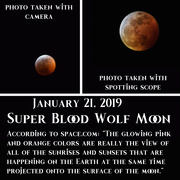 20th Jan 2019 - Super Wolf Blood Moon