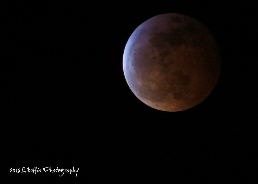 Tonight's full eclipse of the moon. by kathyo