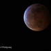 Tonight's full eclipse of the moon. by kathyo