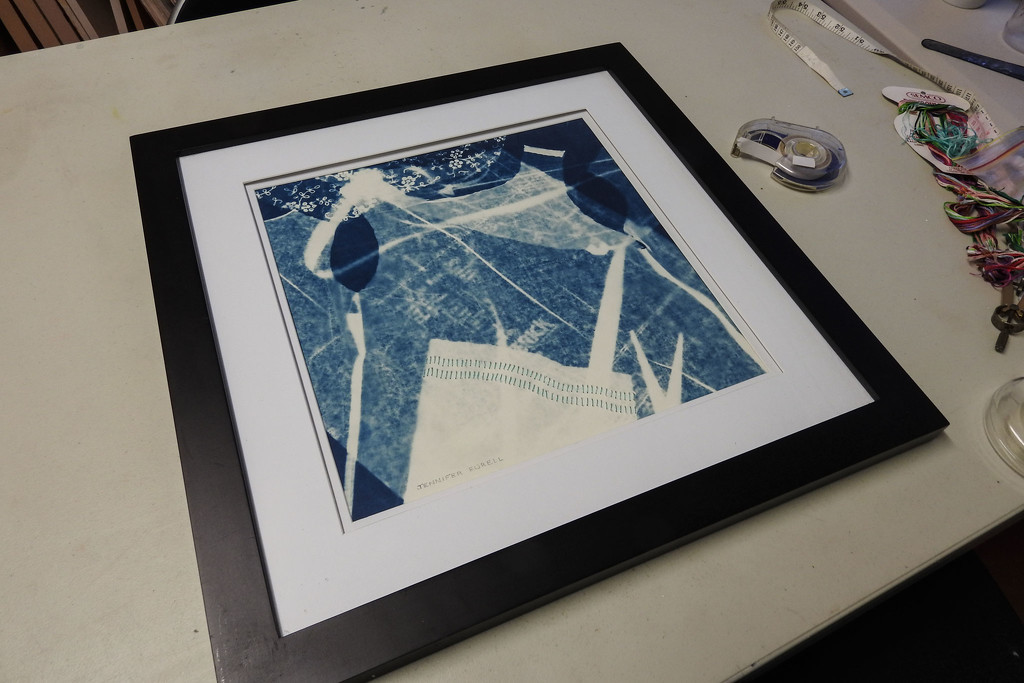 Another cyanotype framed by jeneurell