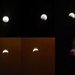 Super Blood Wolf Moon Lunar Eclipse by sfeldphotos