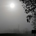 Cold & Misty Morning  by carole_sandford