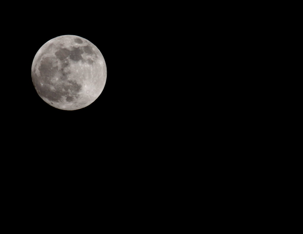 Full Moon by davemockford