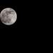 Full Moon by davemockford
