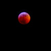 Blood Red Wolf Moon by tosee