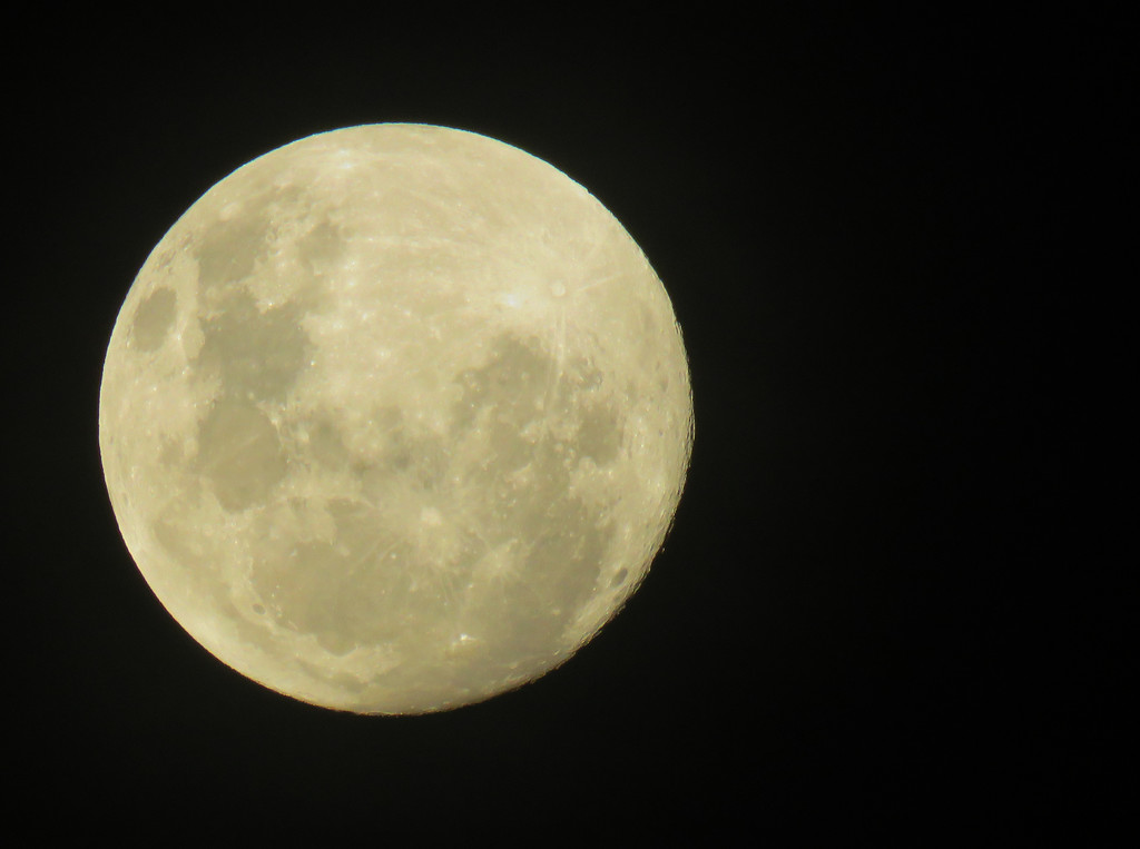 full moon by koalagardens