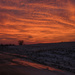 Sunrise on Ice by kareenking