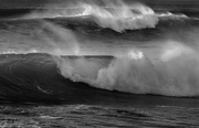 22nd Jan 2019 - Surf for Black and White 2 