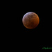 LHG_4106 Lunar Nites by rontu