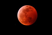 21st Jan 2019 - Full lunar eclipse