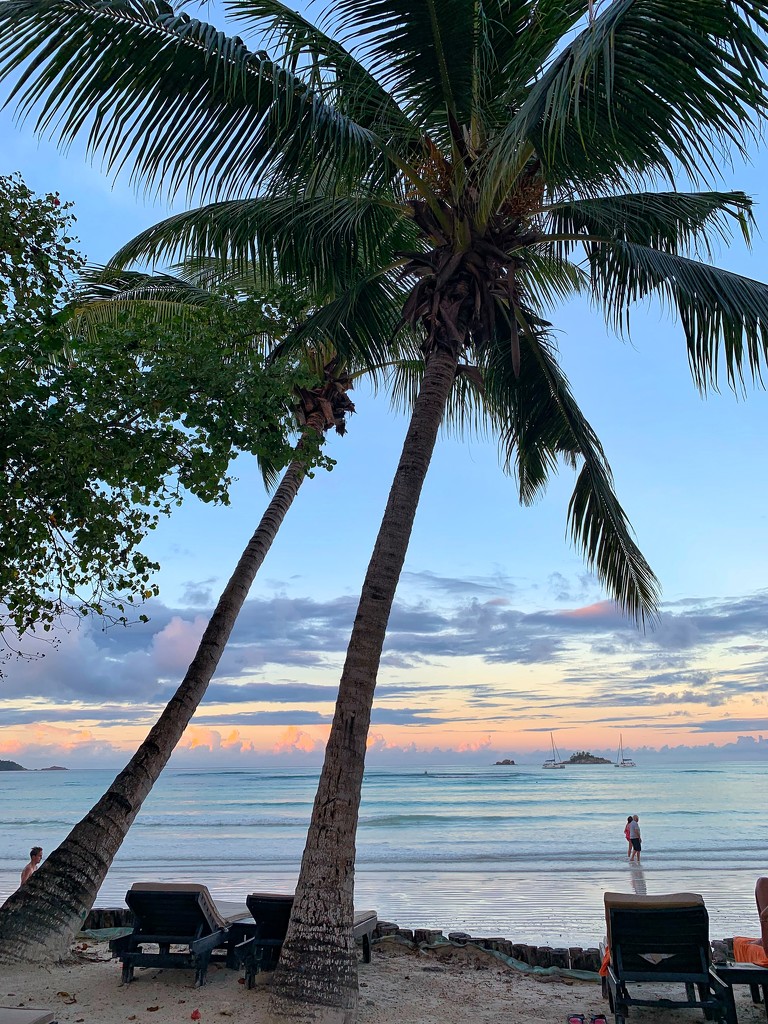 Sunset at the beach.  by cocobella