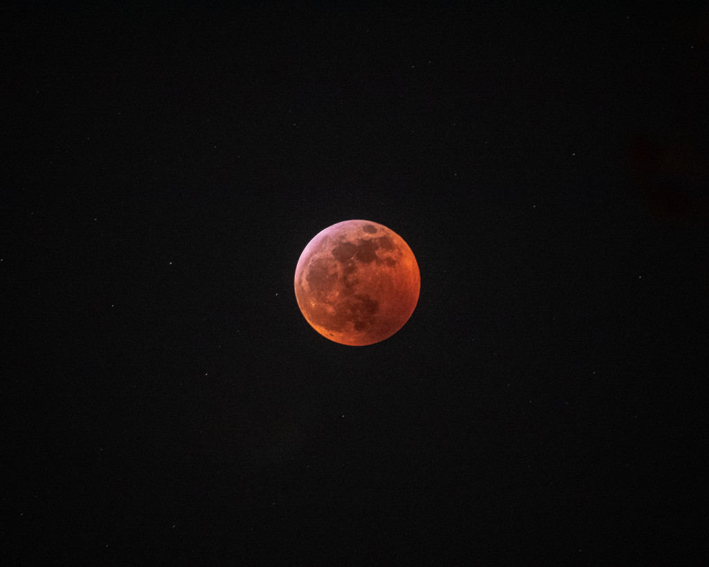 Blood Moon by rosiekerr