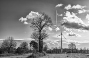 21st Jan 2019 - Trees, Turbine and Contrail...