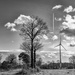Trees, Turbine and Contrail... by vignouse