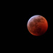 Super Blood Wolf Moon by aecasey