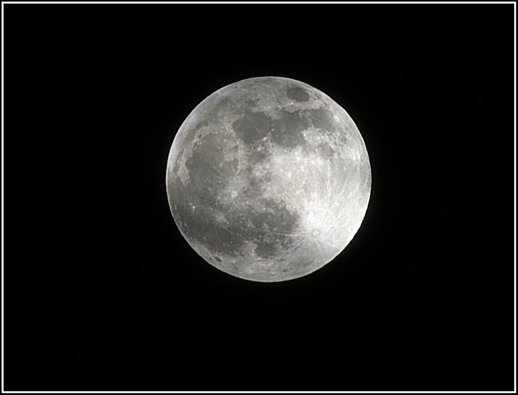Super Moon January 20th by olivetreeann