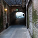 Tunnel by olivetreeann