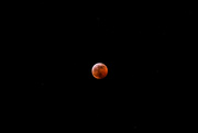 20th Jan 2019 - super wolf blood moon