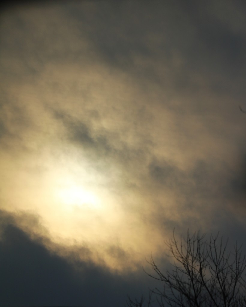 January 22:Winter Sun by daisymiller