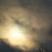 January 22:Winter Sun by daisymiller