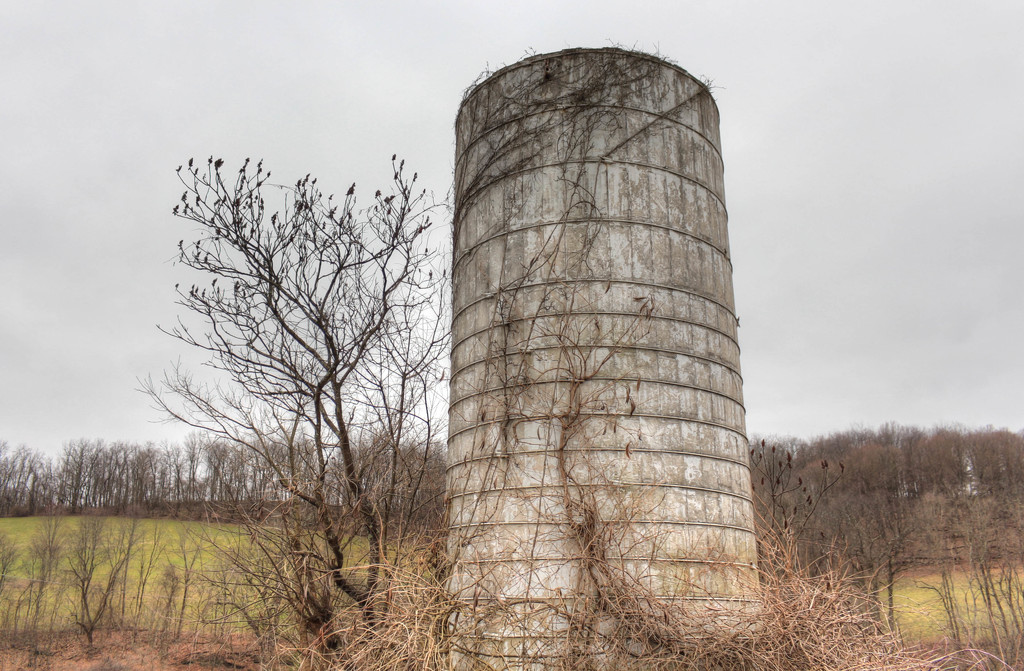 Tree and a silo by mittens