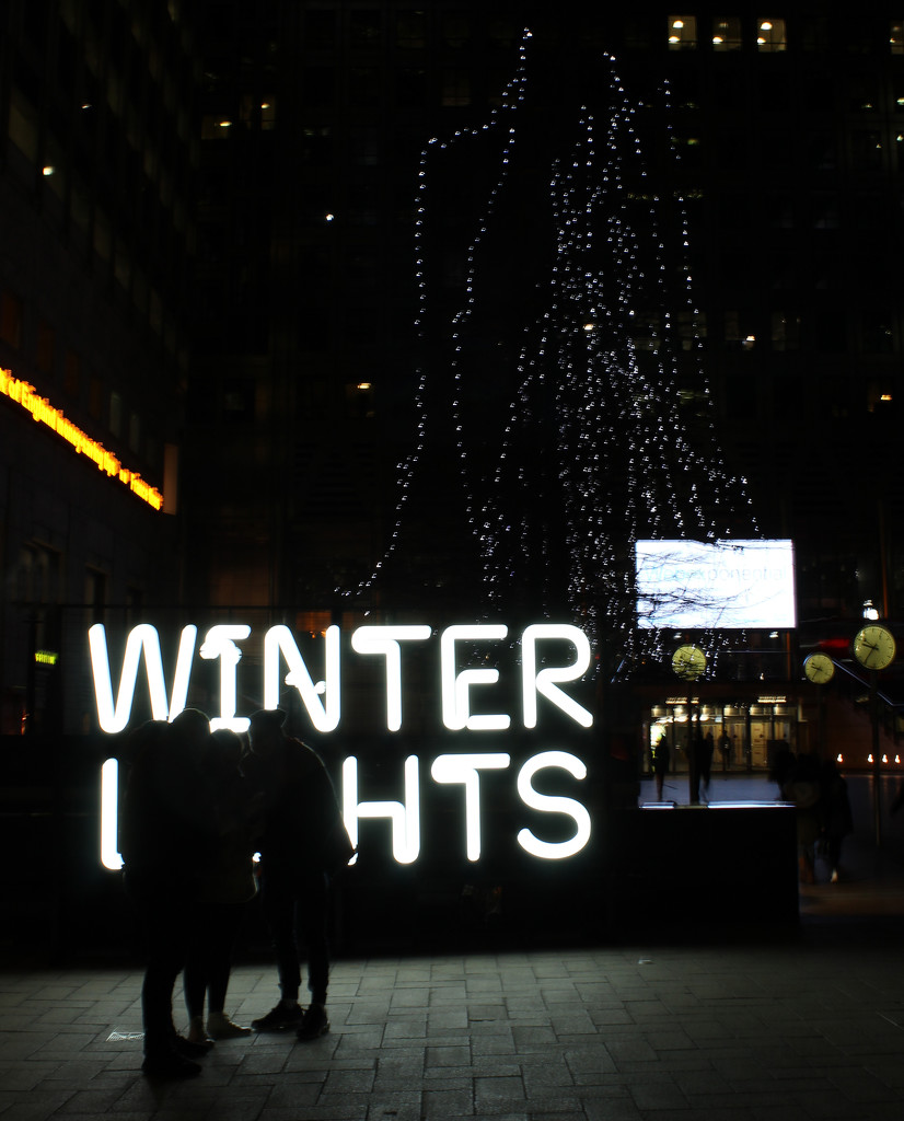 21st Jan winter lights 1 by valpetersen