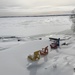 Back to Reality! St. Lawrence River in January! by frantackaberry