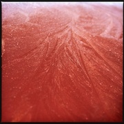 13th Jan 2019 - Red ice
