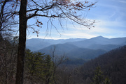22nd Jan 2019 - Great Smoky Mountains National Park