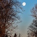 Setting Moon by farmreporter