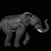 Elephant by ramr