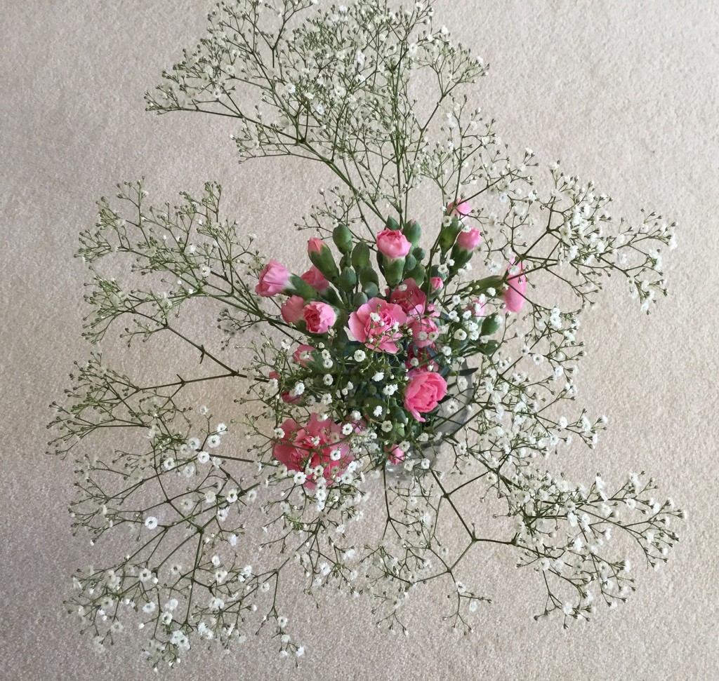 Gypsophila and Carnations  by foxes37