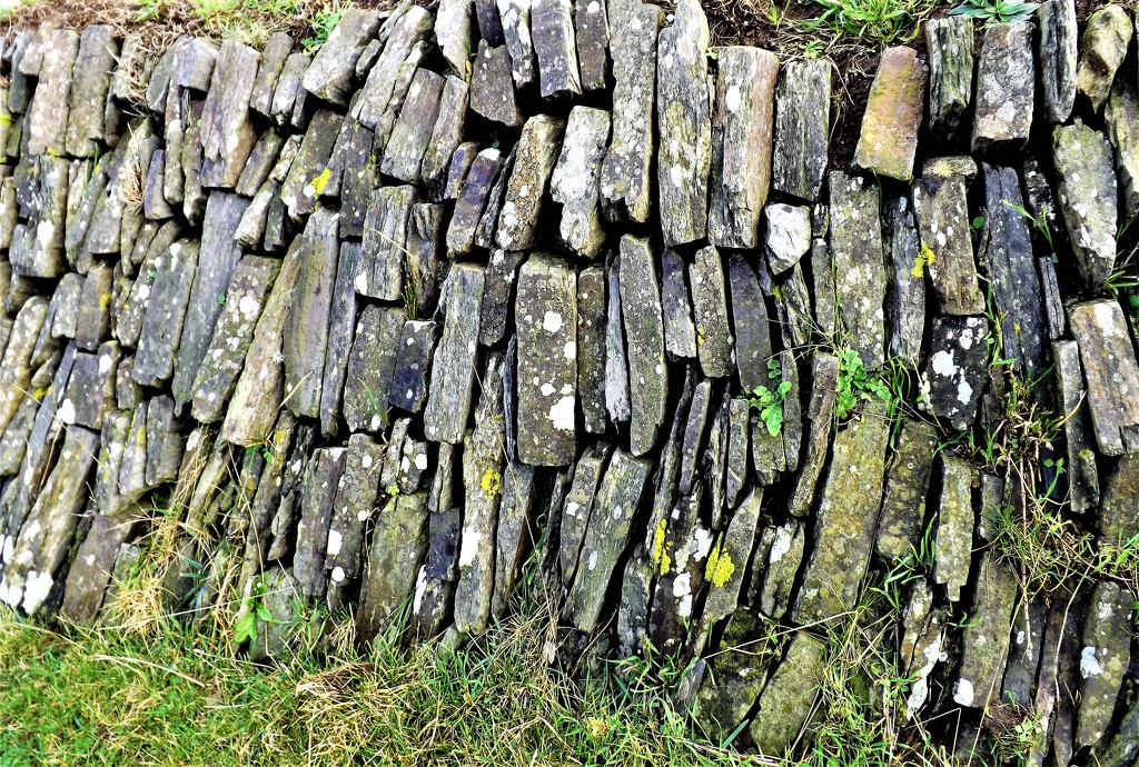 Welsh Walling Stone by ajisaac