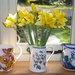 Daffodils and Jugs by susiemc