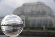 23rd Jan 2019 - The Palm House