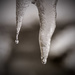 Dripping Ice by jeffjones