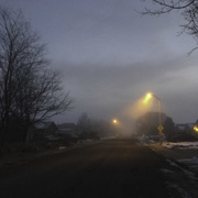 14th Jan 2019 - Morning Fog