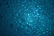 23rd Jan 2019 - Blue Bubbles