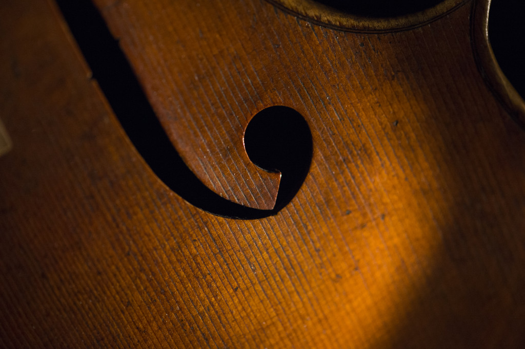 One more cello pic by epcello
