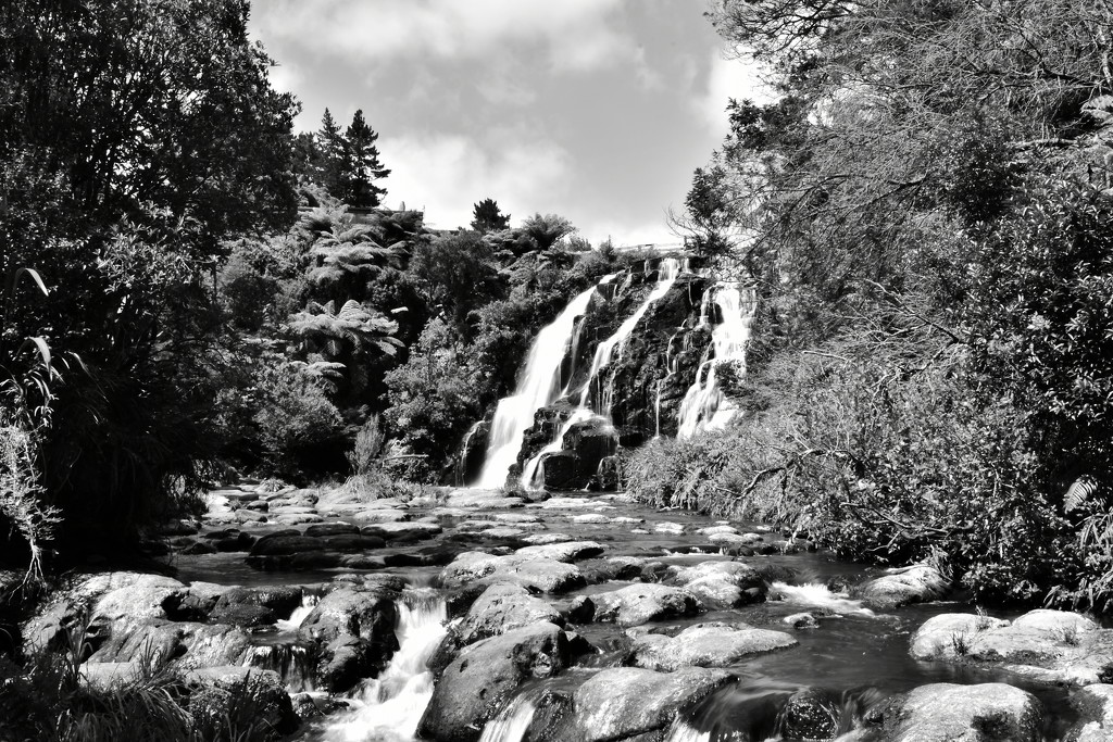 Owharoa Falls in B&W by nickspicsnz