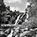Owharoa Falls in B&W by nickspicsnz